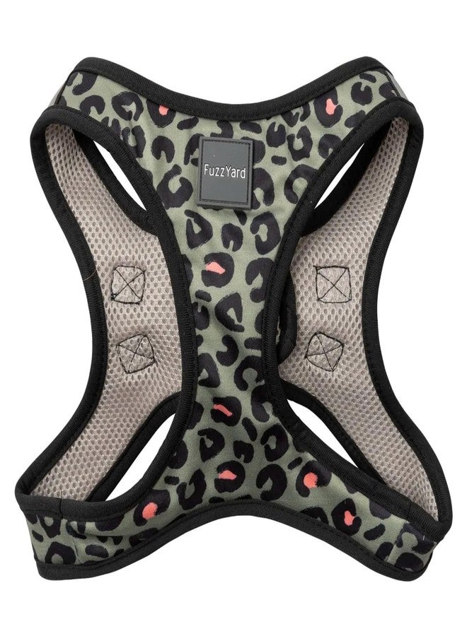 FuzzYard Savanna Step in Dog Harness | Size XL | Comfortable Fit for Everyday Walking & Training - Image 1